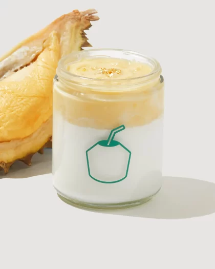 Durian Coconut Pudding