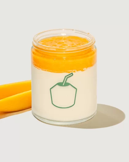 Mango Coconut Pudding(Vegan)